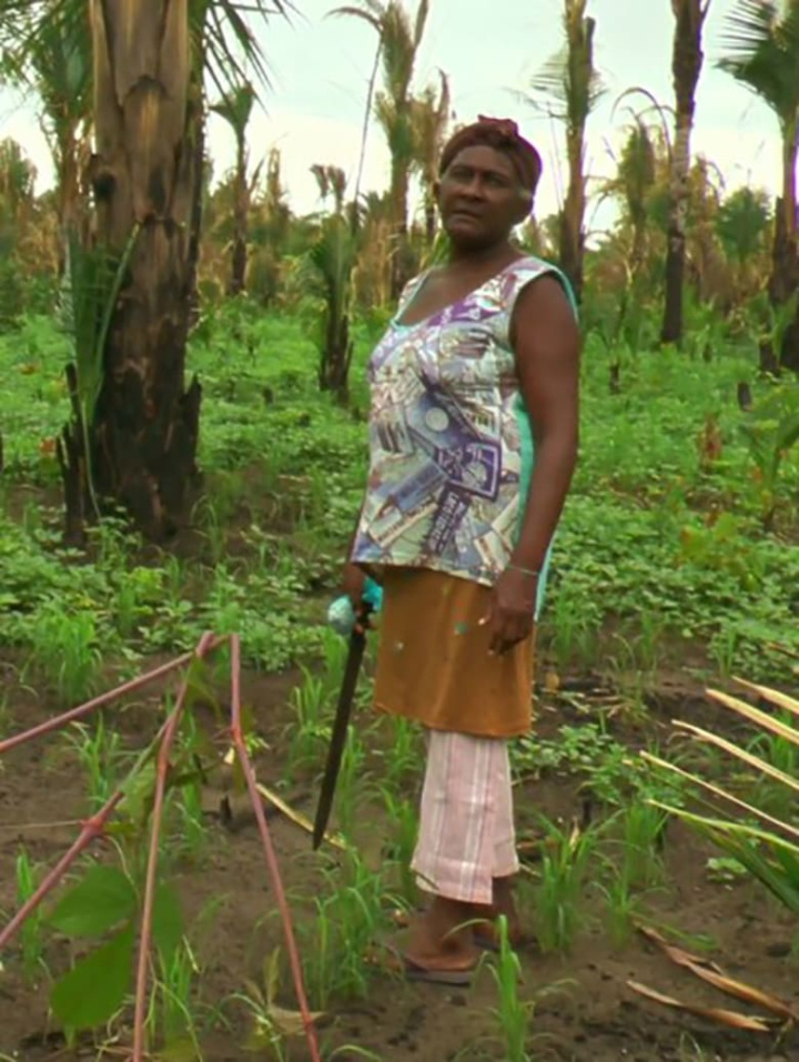 Vozes da Floresta i gruppen Alla filmer / Documentary hos Mohamad shop (627984)