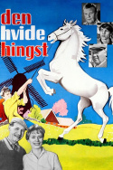 Den hvide hingst