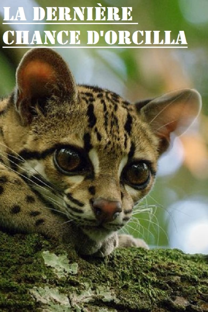 La dernière chance d’Orcilla i gruppen Alla filmer / Documentary hos Mohamad shop (629372)