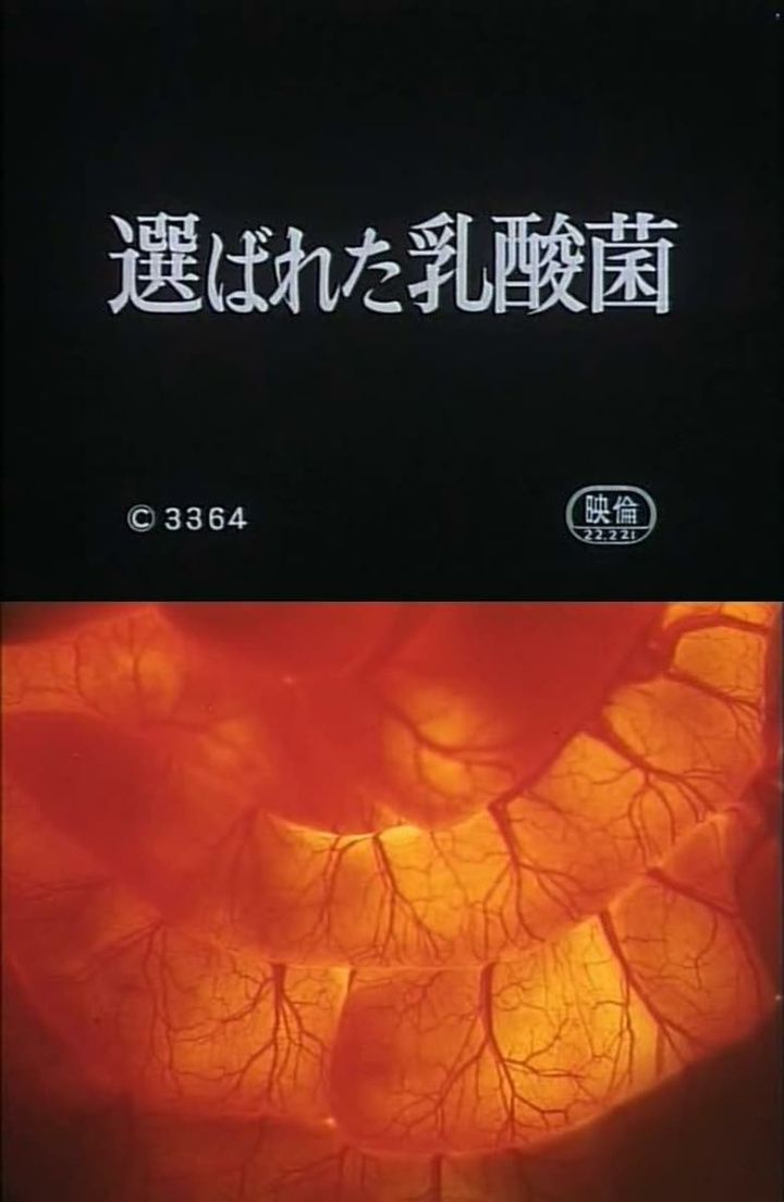 Selected Lactobacillus Strain Shirota i gruppen Alla filmer / Documentary hos Mohamad shop (629567)