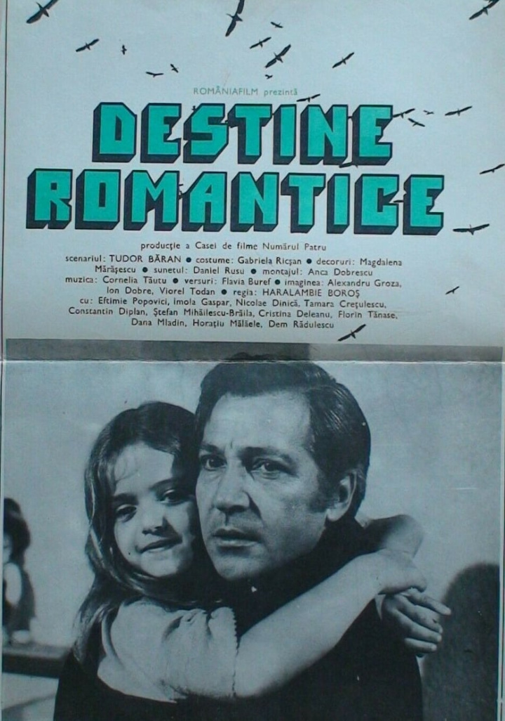 Romantic Destinies i gruppen Alla filmer / Drama hos Mohamad shop (629601)