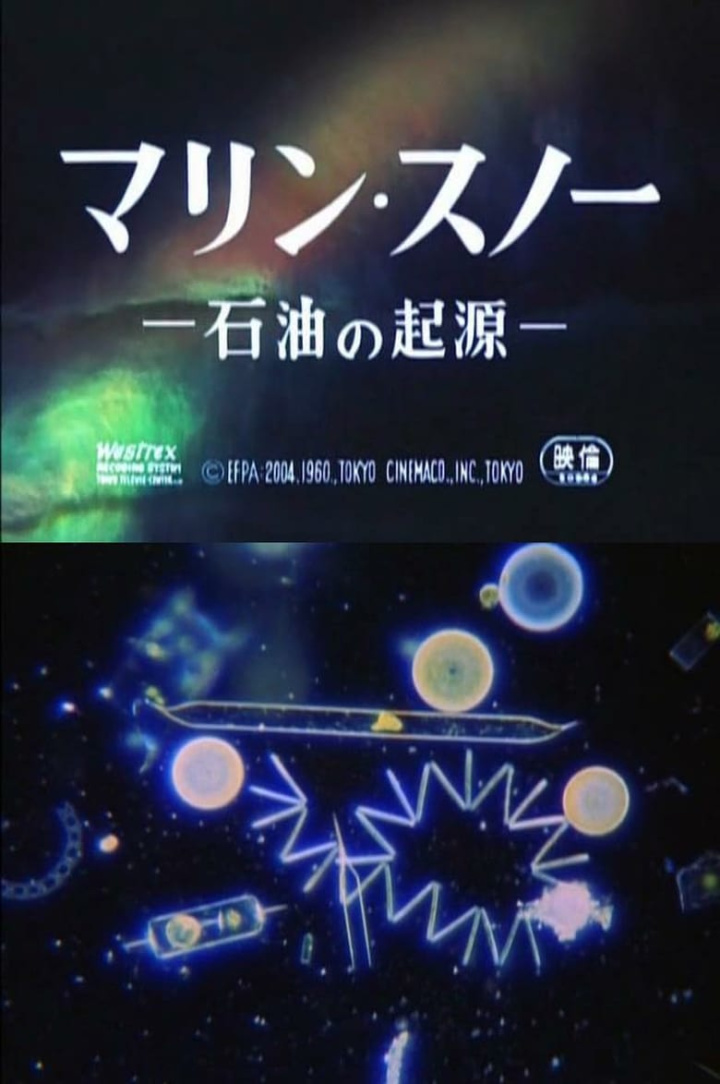 Marine Snow - The Origin of Oil i gruppen Alla filmer / Documentary hos Mohamad shop (629678)