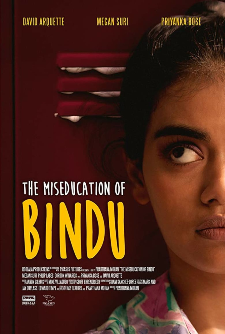 The MisEducation of Bindu i gruppen Alla filmer hos Mohamad shop (629787)
