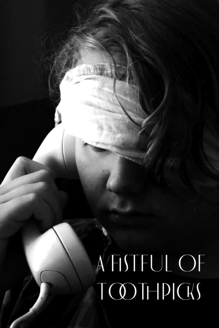 A Fistful of Toothpicks i gruppen Alla filmer hos Mohamad shop (629976)