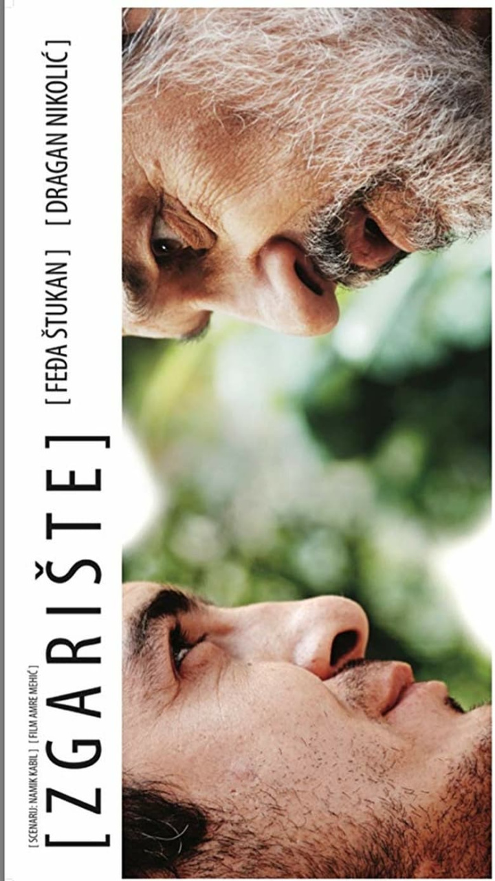 The Ruin i gruppen Alla filmer / Drama hos Mohamad shop (630242)