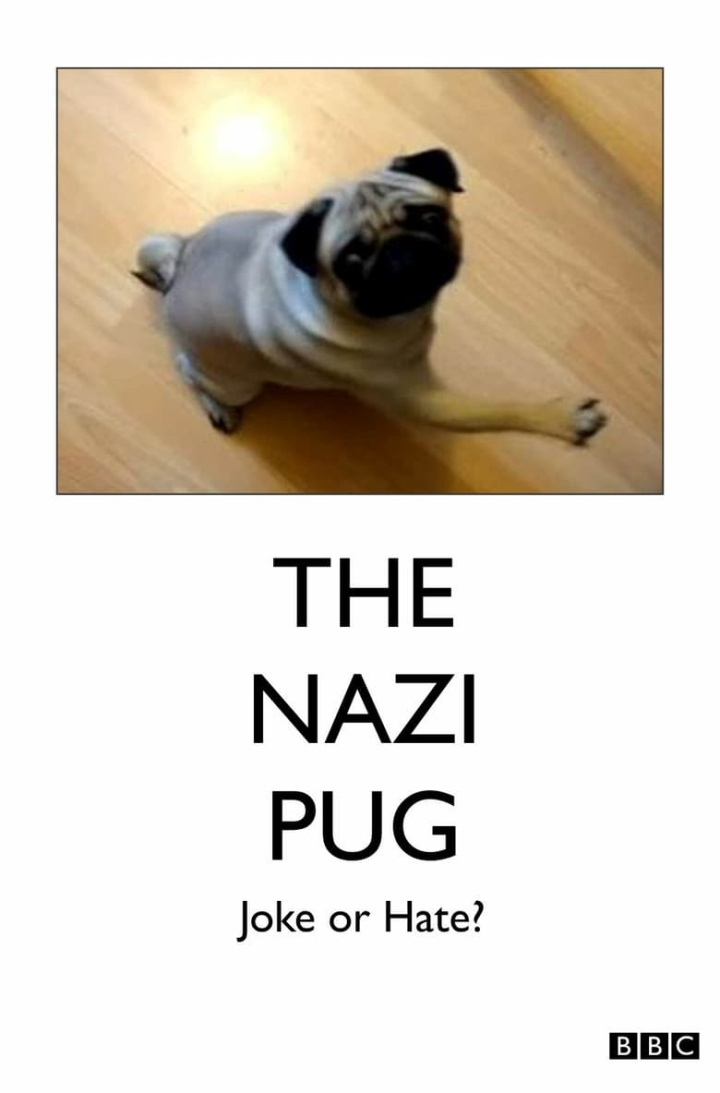 The Nazi Pug: Joke or Hate? i gruppen Alla filmer / Documentary hos Mohamad shop (630310)
