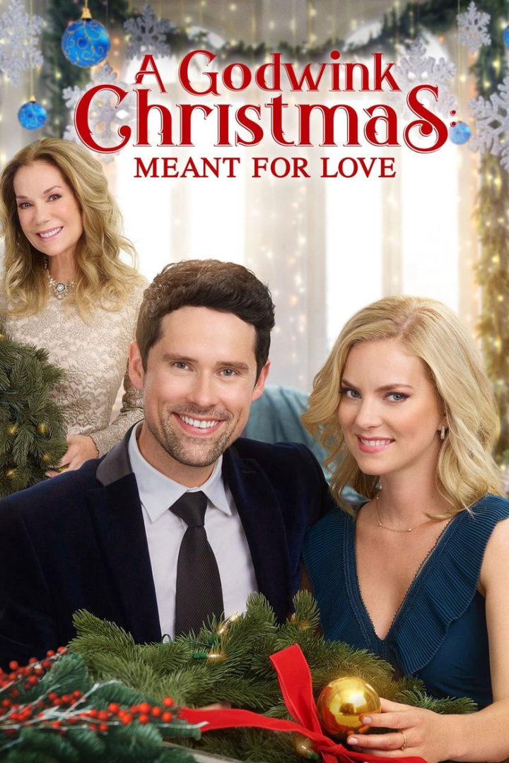 A Godwink Christmas: Meant For Love i gruppen Alla filmer hos Mohamad shop (630900)