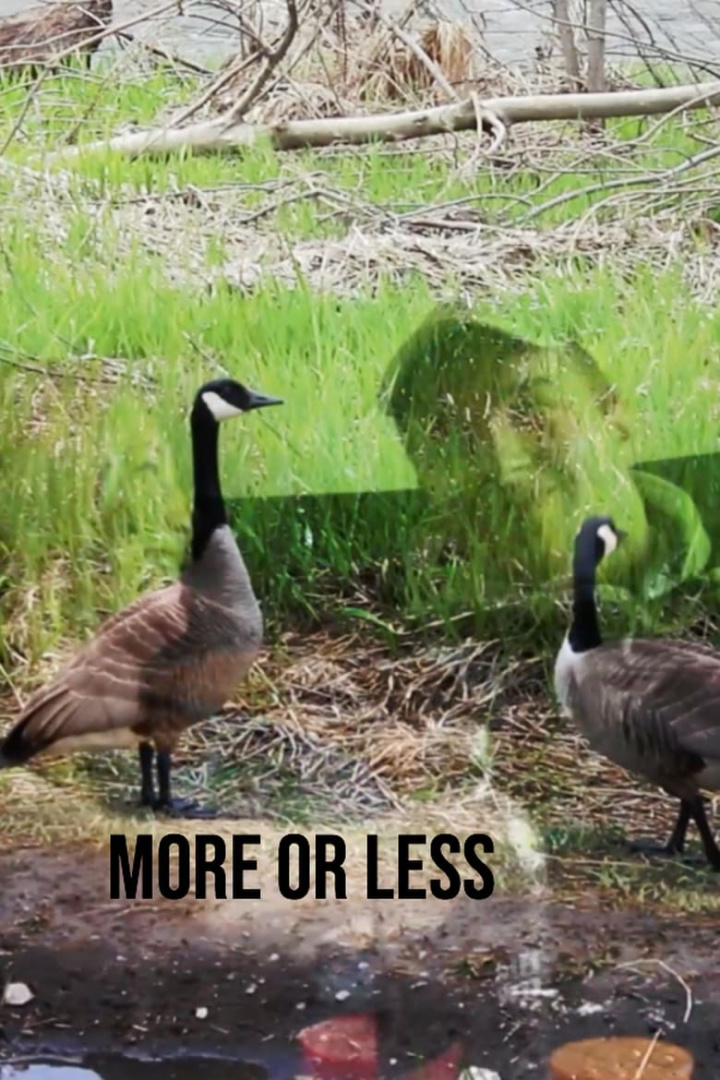 More or Less i gruppen Alla filmer / Comedy hos Mohamad shop (631356)