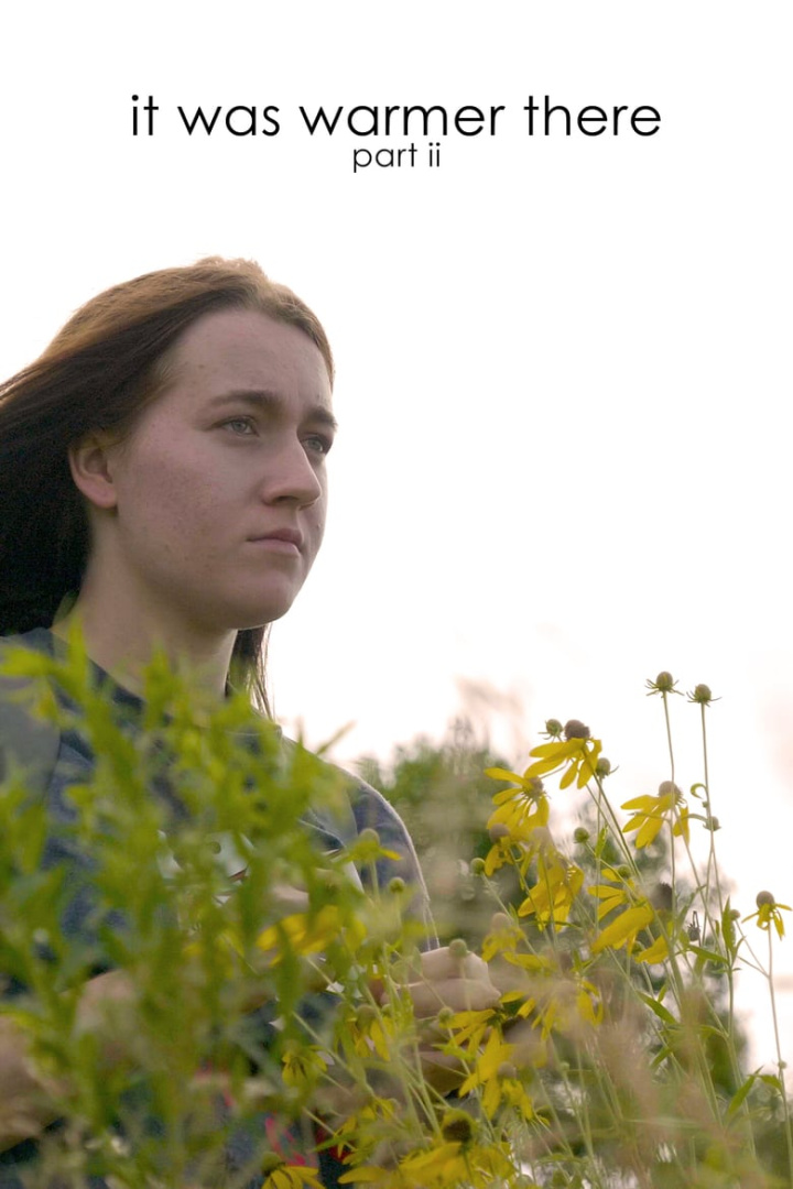 It Was Warmer There Part II i gruppen Alla filmer hos Mohamad shop (631759)