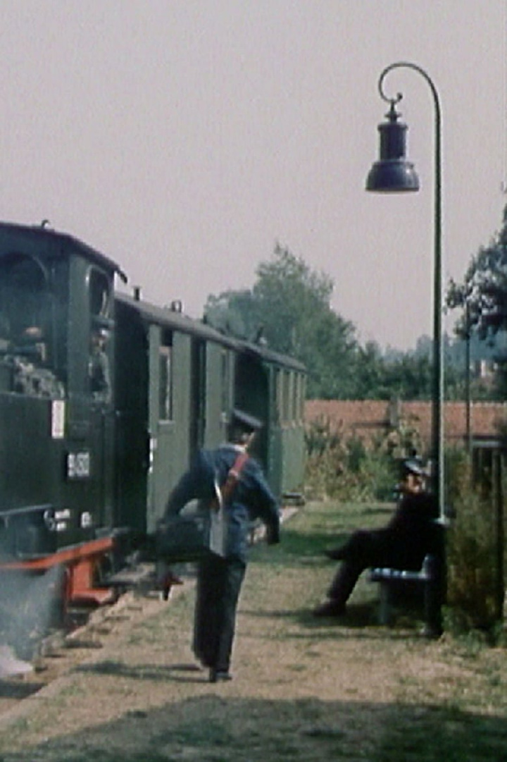 Lok im Garten - ein ungewöhnliches Hobby i gruppen Alla filmer / Documentary hos Mohamad shop (632872)