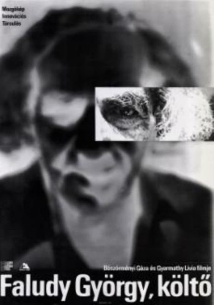Faludy György, költő i gruppen Alla filmer / Documentary hos Mohamad shop (633828)