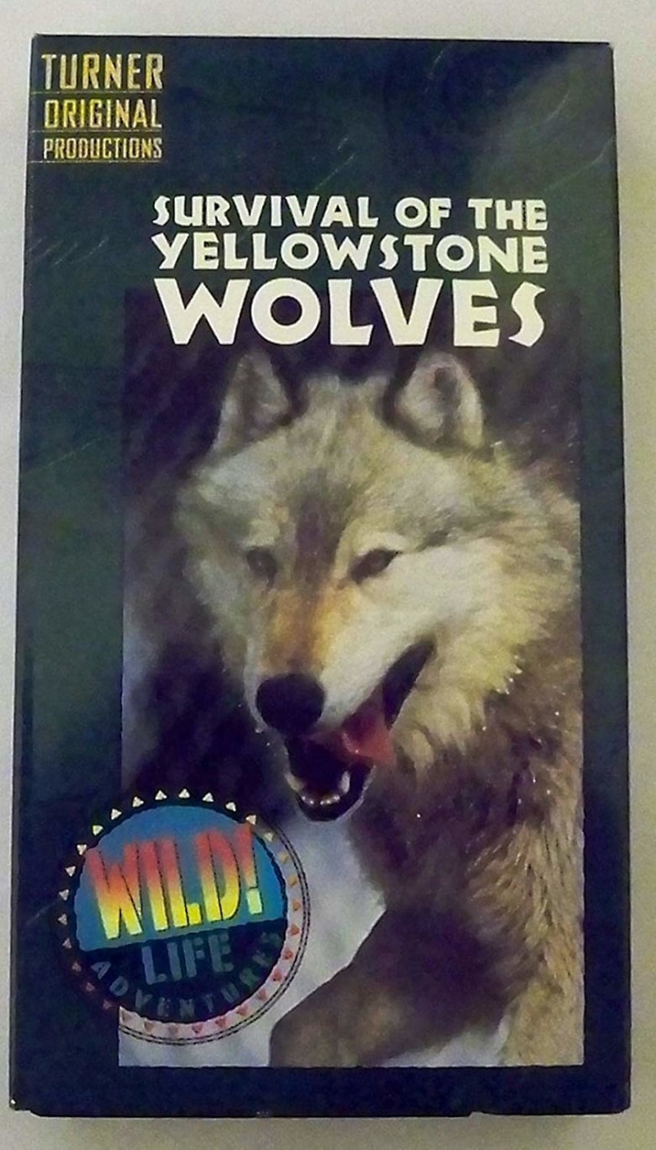 Survival of the Yellowstone Wolves i gruppen Alla filmer / Documentary hos Mohamad shop (633914)