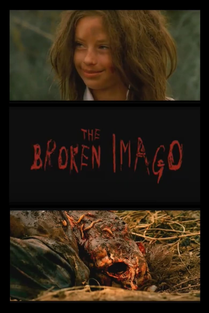 The Broken Imago i gruppen Alla filmer hos Mohamad shop (633963)