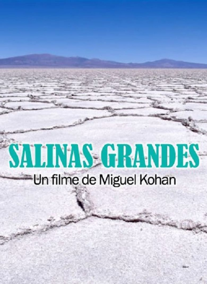 Salinas grandes i gruppen Alla filmer / Documentary hos Mohamad shop (634095)