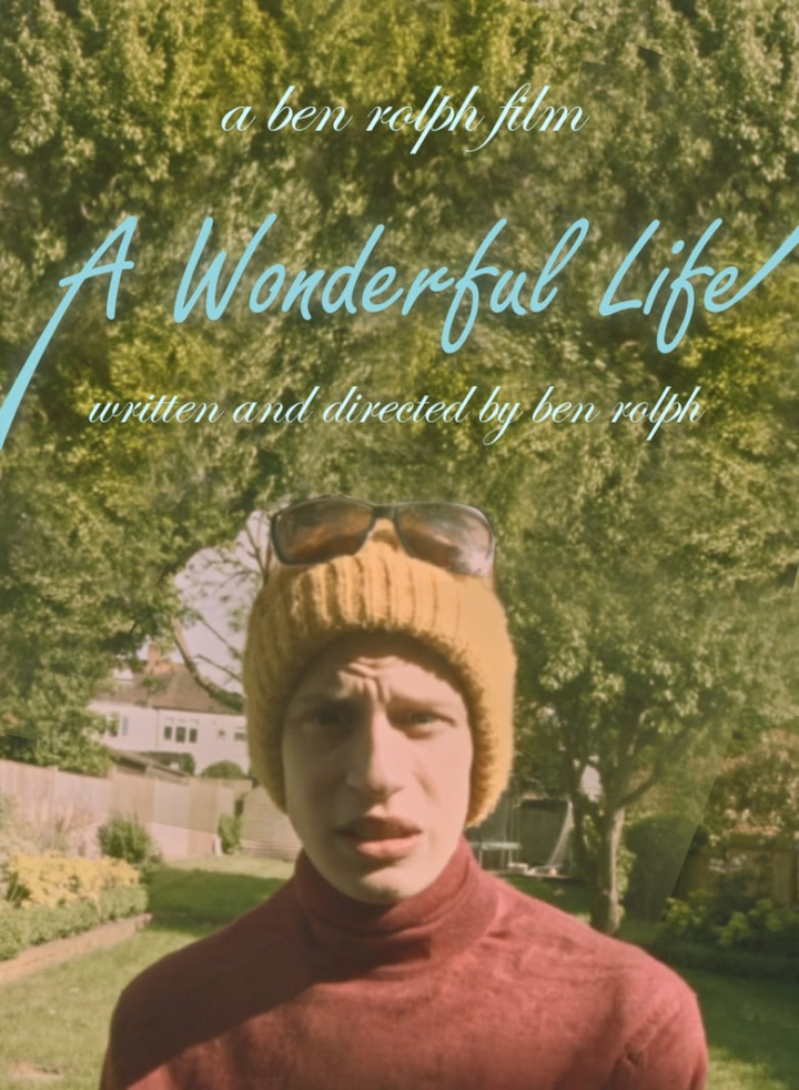 A Wonderful Life i gruppen Alla filmer / Comedy hos Mohamad shop (634237)