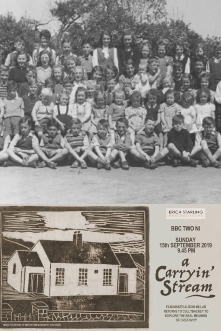 A Carryin\' Stream i gruppen Alla filmer hos Mohamad shop (634356)