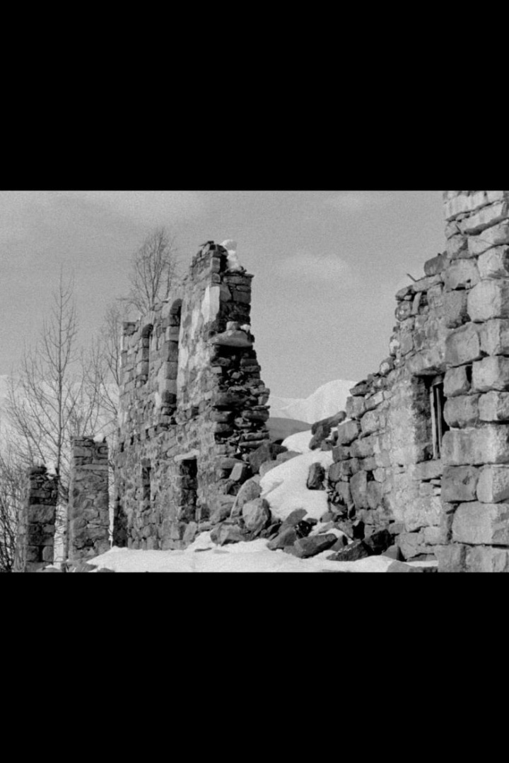 The First Foot i gruppen Alla filmer / Documentary hos Mohamad shop (634445)