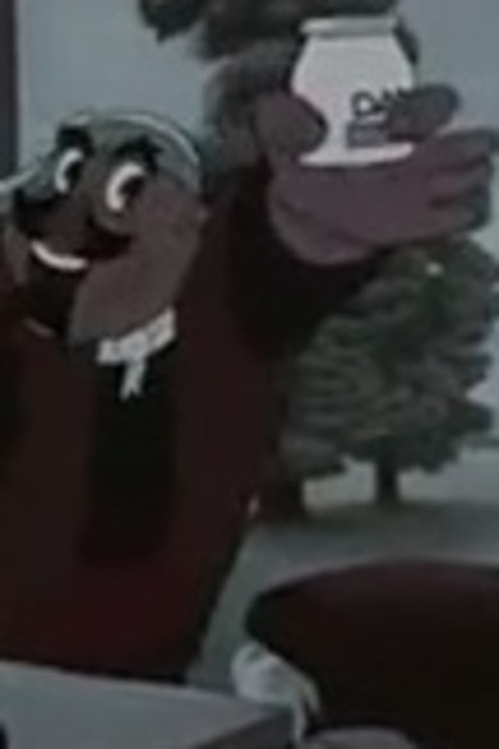 Safe and Sound i gruppen Alla filmer / Animation hos Mohamad shop (634507)