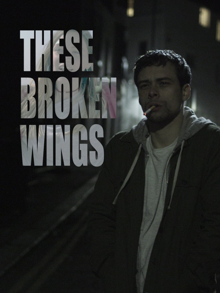 These Broken Wings i gruppen Alla filmer / Drama hos Mohamad shop (634605)