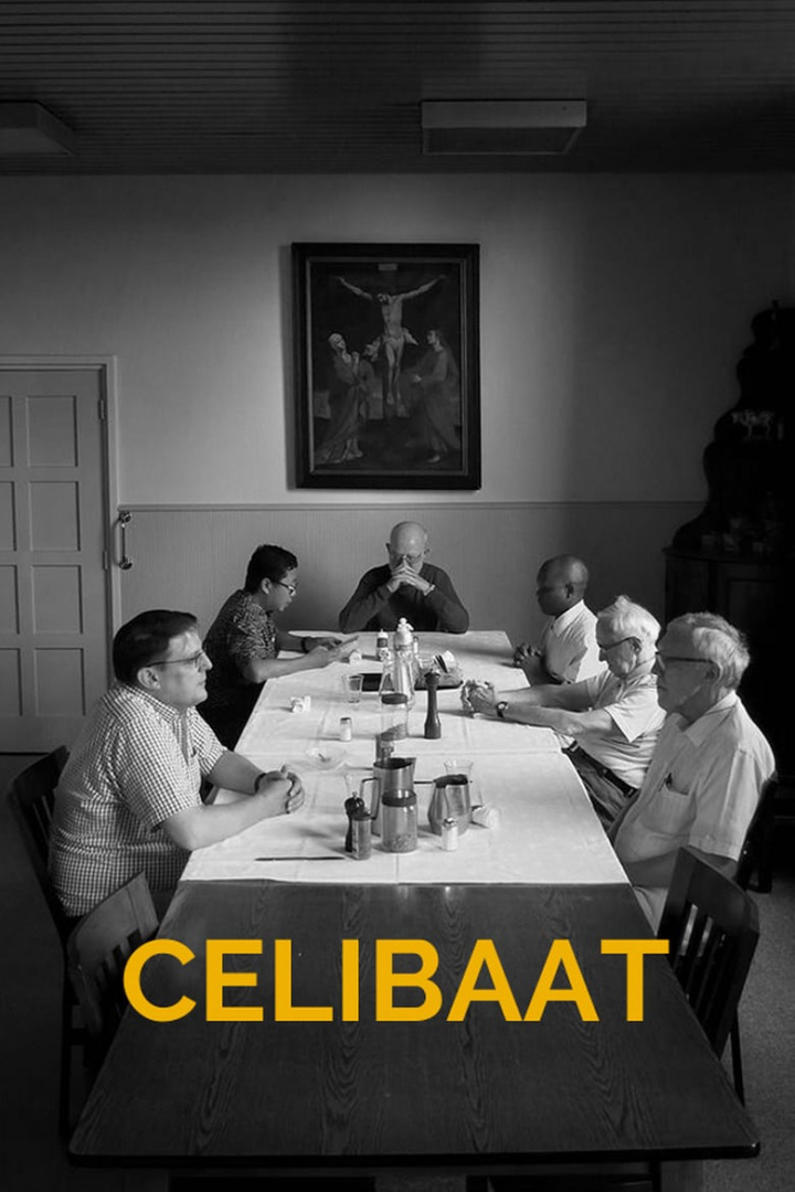 Celibaat i gruppen Alla filmer / Documentary hos Mohamad shop (635208)