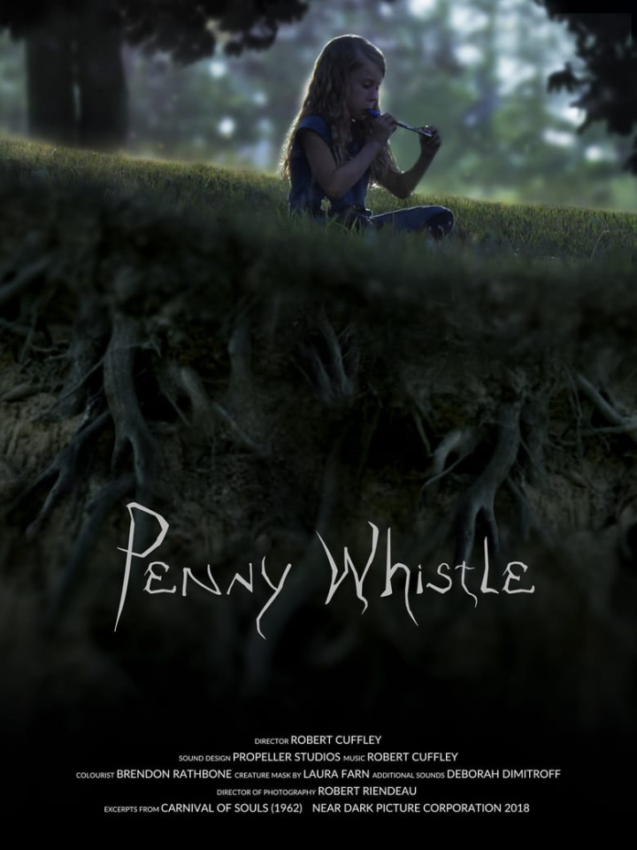 Penny Whistle i gruppen Alla filmer / Horror hos Mohamad shop (636385)
