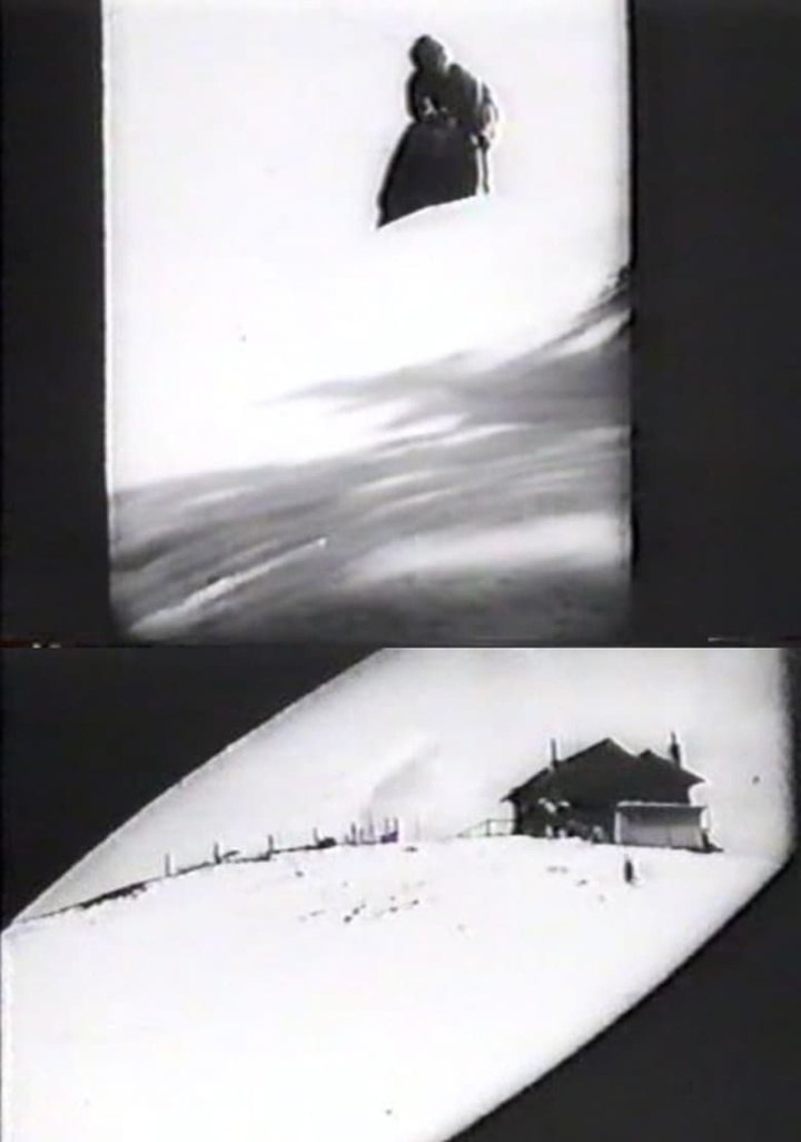 Die Geierwally i gruppen Alla filmer / Drama hos Mohamad shop (6363)