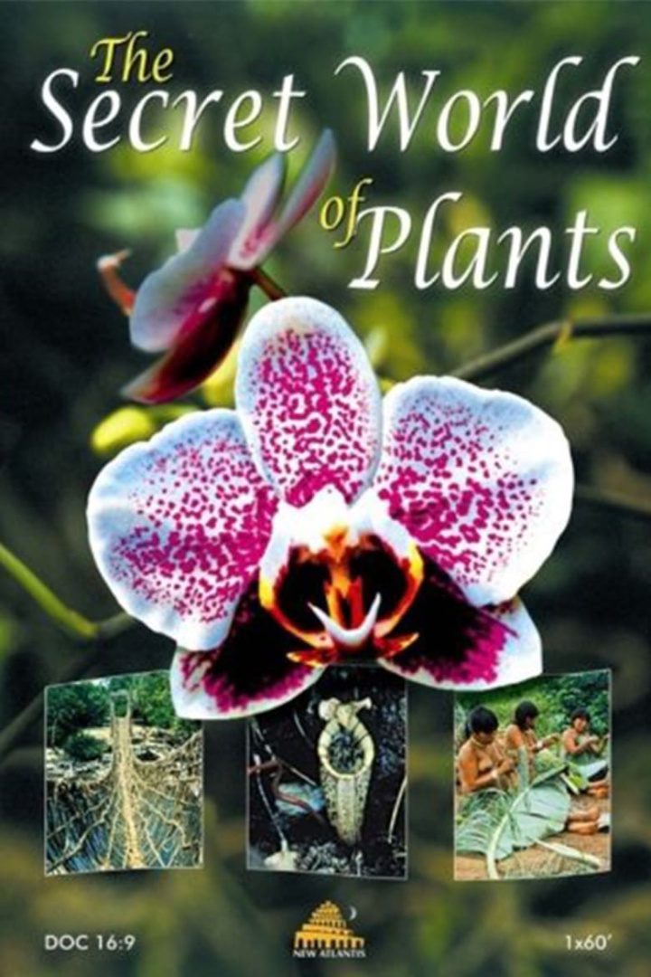 The Secret World of Plants i gruppen Alla filmer / Documentary hos Mohamad shop (636509)