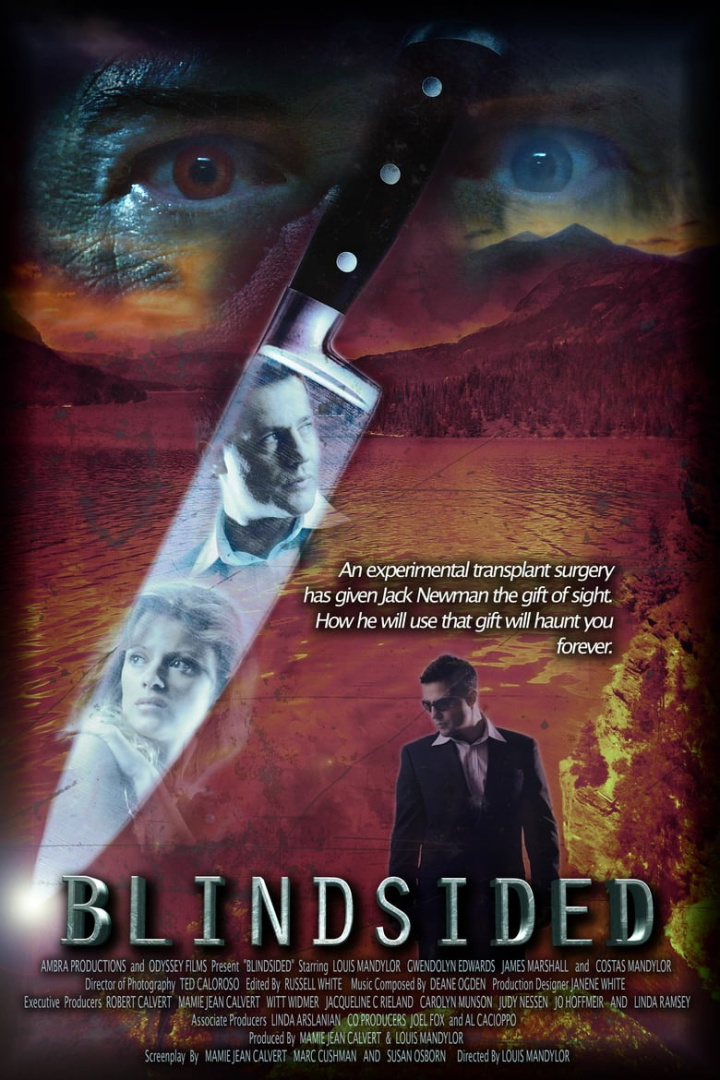Blindsided i gruppen Alla filmer / Thriller hos Mohamad shop (636703)