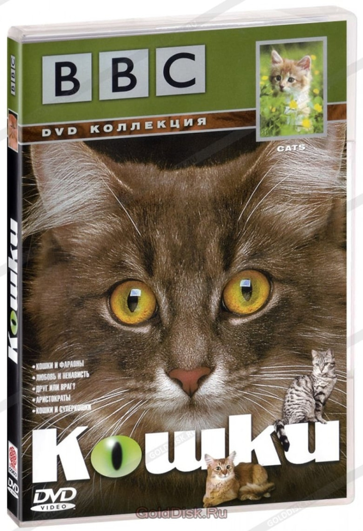 BBC Cats i gruppen Alla filmer / Documentary hos Mohamad shop (637241)