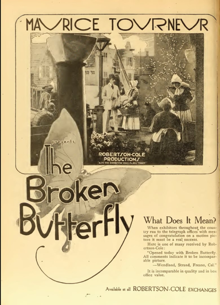 The Broken Butterfly i gruppen Alla filmer / Romance hos Mohamad shop (637629)