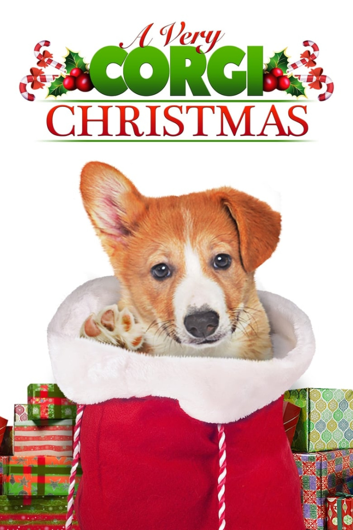A Very Corgi Christmas i gruppen Alla filmer / Romance hos Mohamad shop (637879)
