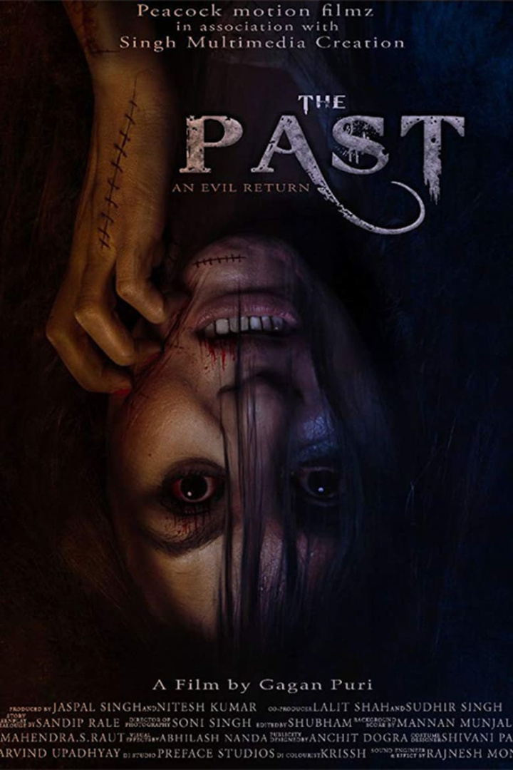 The Past i gruppen Alla filmer / Horror hos Mohamad shop (637946)