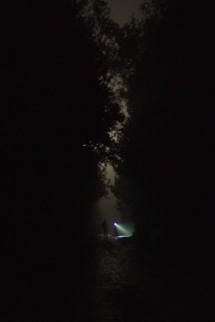 The Toll i gruppen Alla filmer / Thriller hos Mohamad shop (638045)