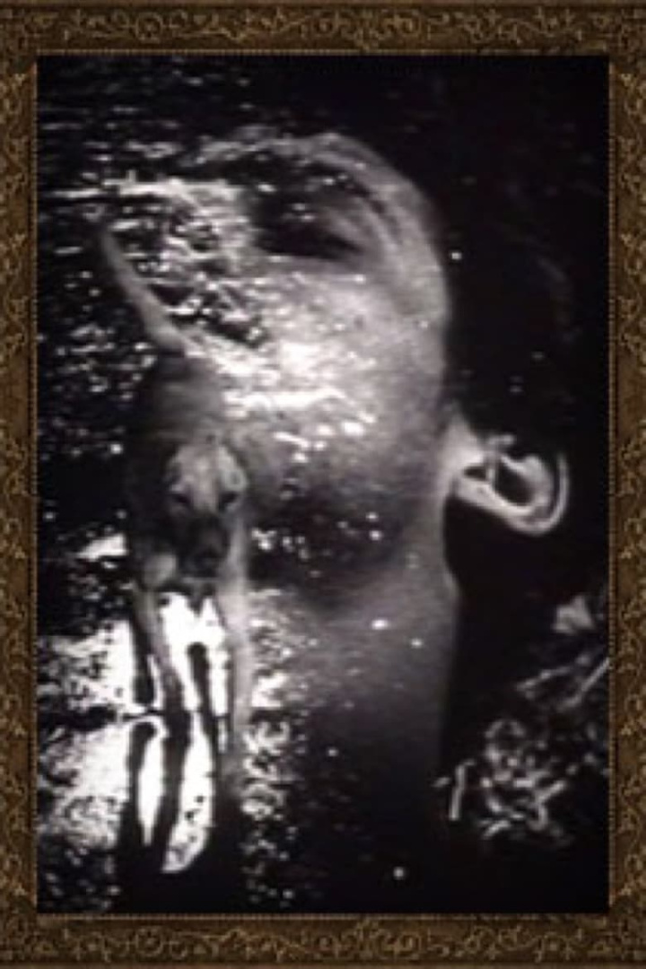 Buñuel i gruppen Alla filmer / Documentary hos Mohamad shop (638964)