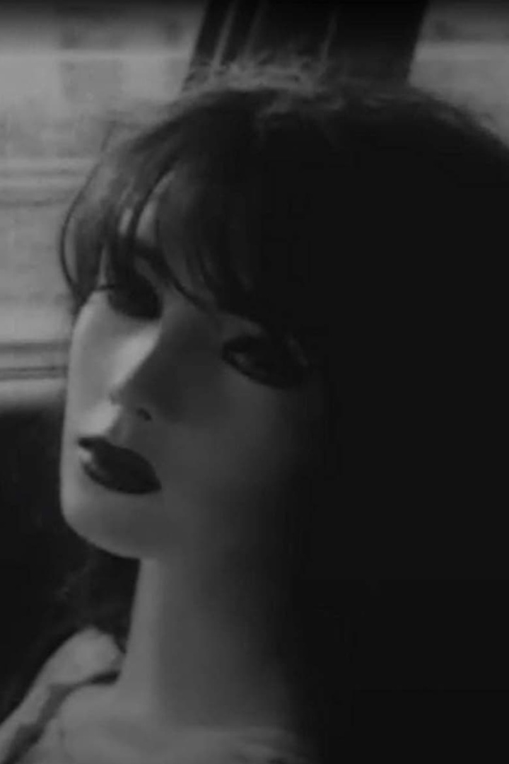 Reality i gruppen Alla filmer / Drama hos Mohamad shop (639004)