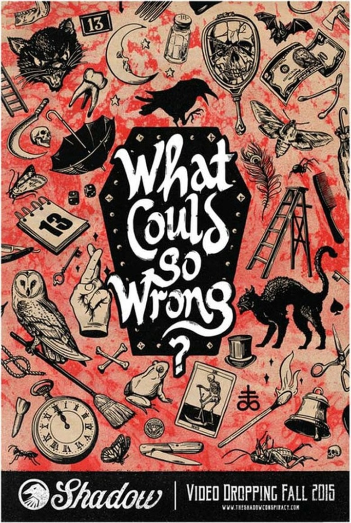 What Could Go Wrong? i gruppen Alla filmer / Documentary hos Mohamad shop (639064)