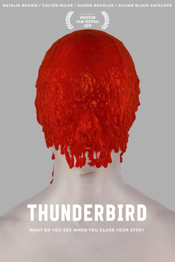 Thunderbird i gruppen Alla filmer / Thriller hos Mohamad shop (639357)