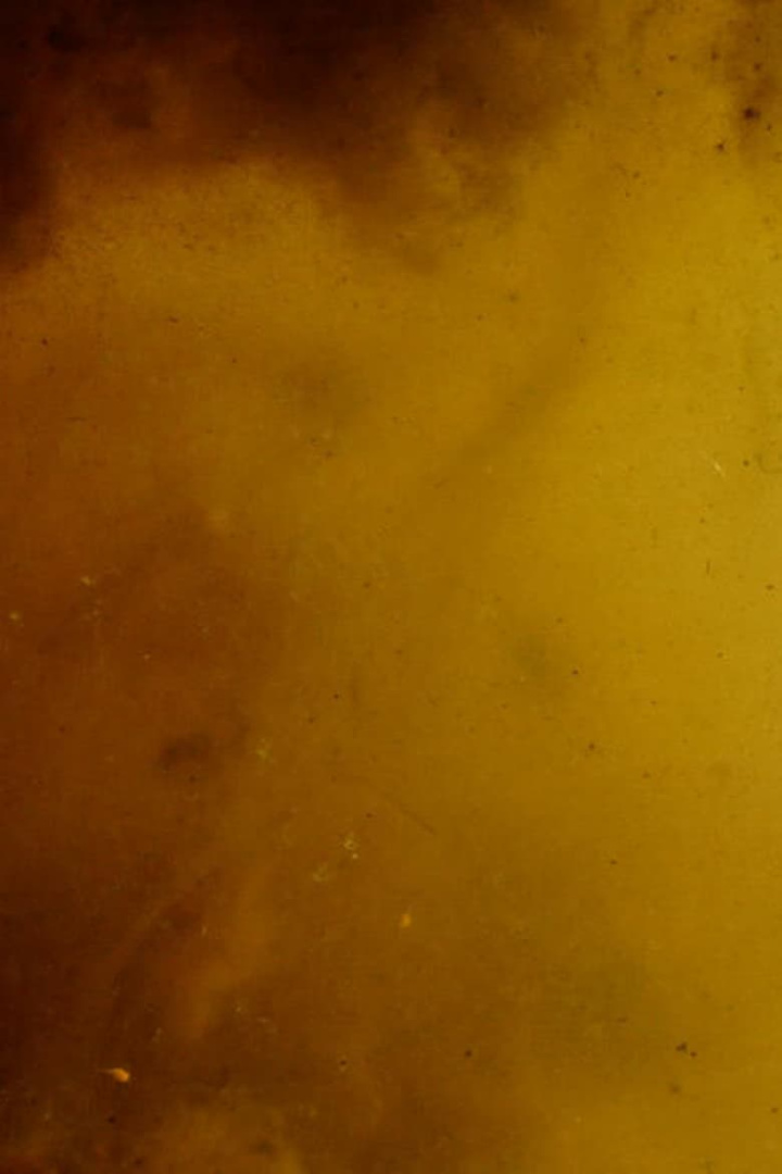 Erpe-Mere i gruppen Alla filmer hos Mohamad shop (639361)