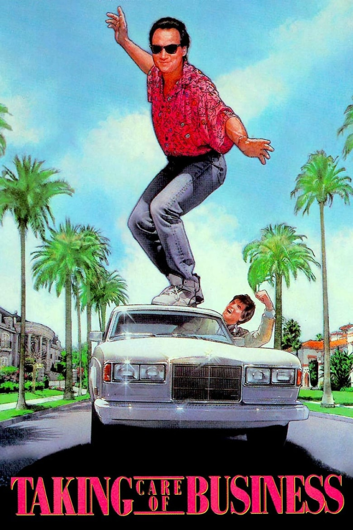 Taking Care of Business i gruppen Alla filmer / Comedy hos Mohamad shop (6393)