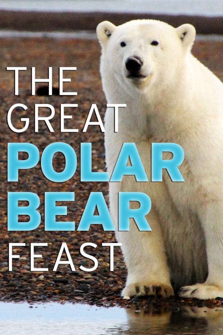 The Great Polar Bear Feast i gruppen Alla filmer hos Mohamad shop (639498)