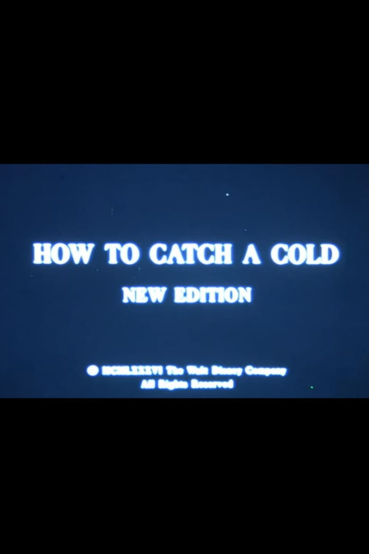 How to Catch a Cold i gruppen Alla filmer / Family hos Mohamad shop (639525)