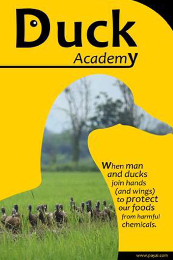 Duck Academy i gruppen Alla filmer / Documentary hos Mohamad shop (639567)