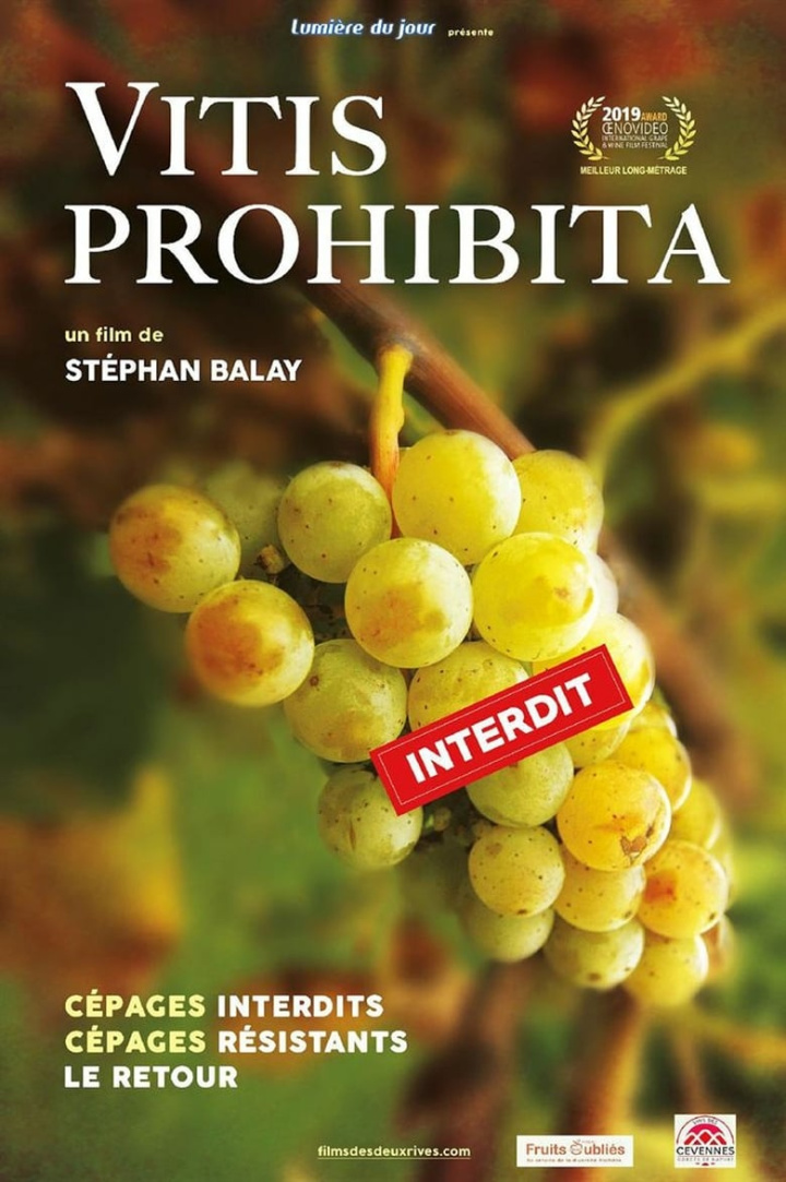 Vitis Prohibita i gruppen Alla filmer / Documentary hos Mohamad shop (639579)