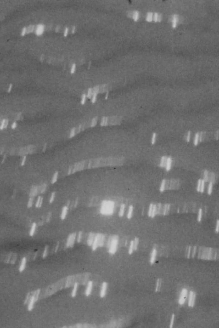 Lands Of The Sea i gruppen Alla filmer / Documentary hos Mohamad shop (639837)