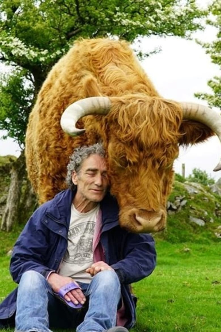 Tony & The Bull i gruppen Alla filmer / Documentary hos Mohamad shop (640127)