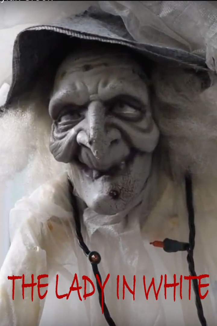 The Lady In White i gruppen Alla filmer / Horror hos Mohamad shop (640220)