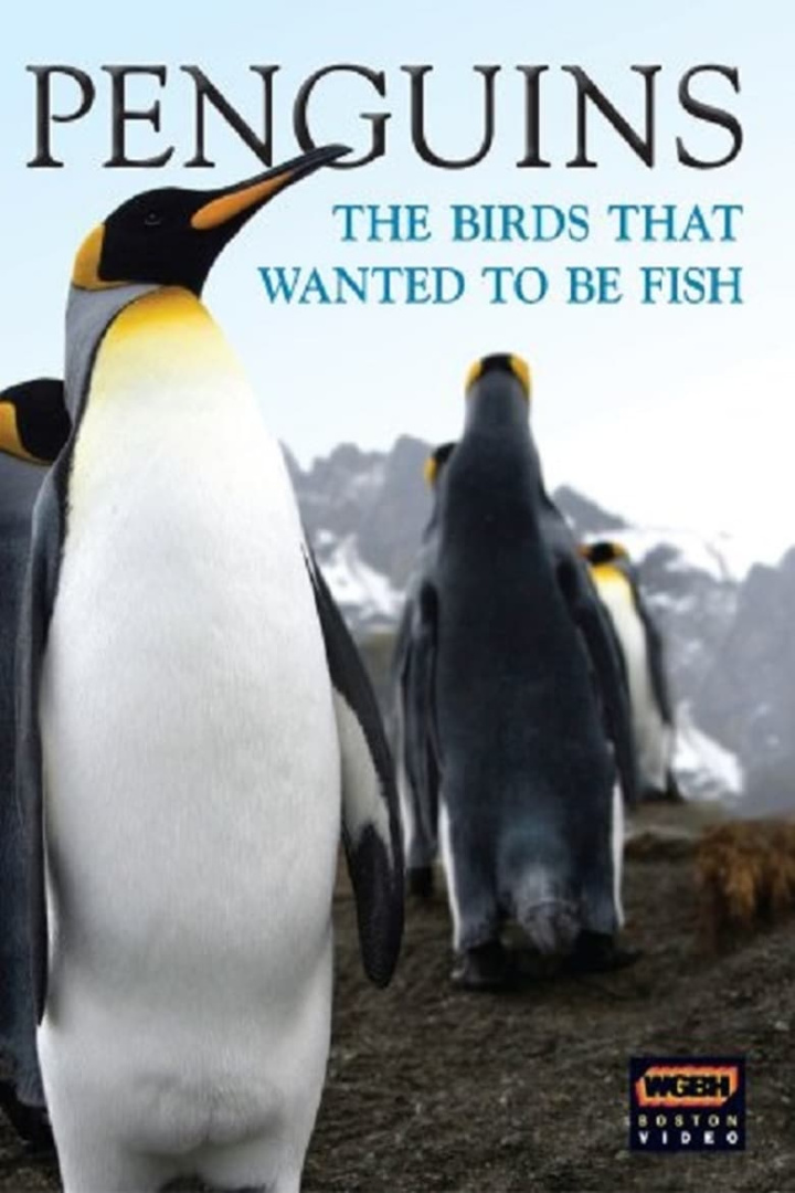 Penguins: The Story of the Bird that wanted to be Fish i gruppen Alla filmer / Documentary hos Mohamad shop (640664)