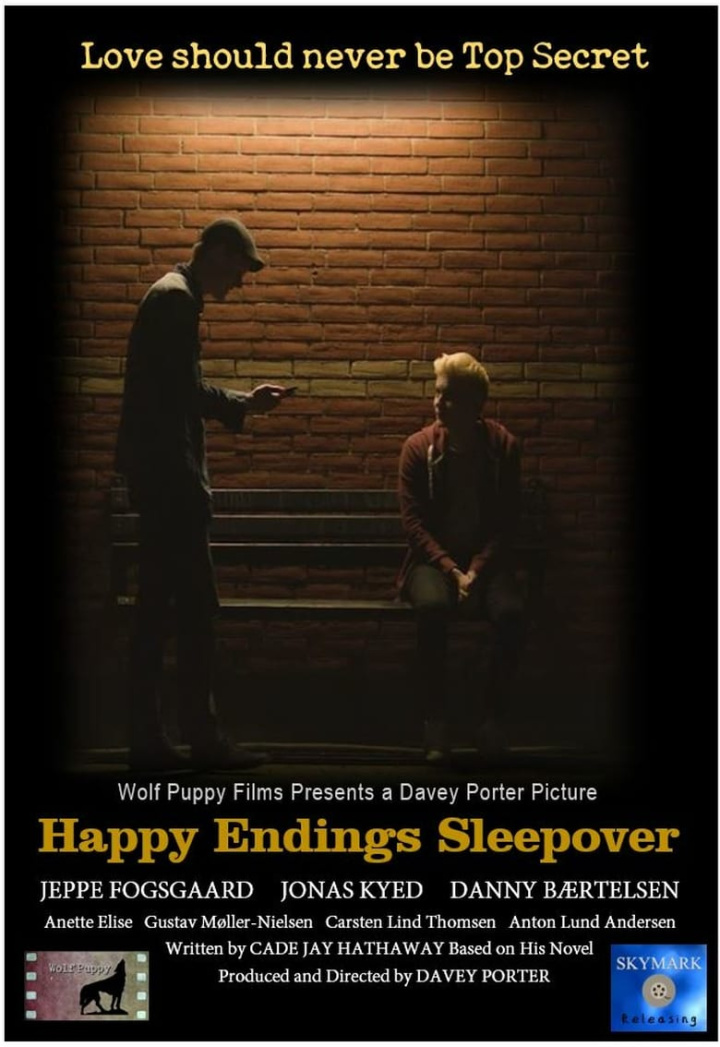 Happy Endings Sleepover i gruppen Alla filmer hos Mohamad shop (641543)