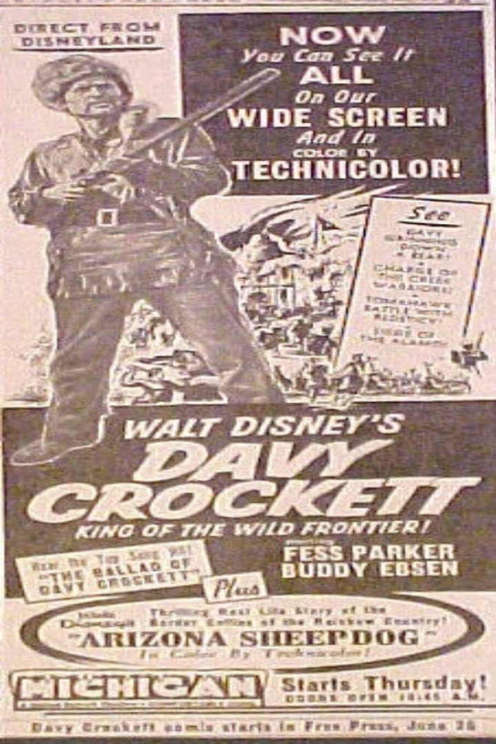 Arizona Sheepdog i gruppen Alla filmer / Documentary hos Mohamad shop (641566)