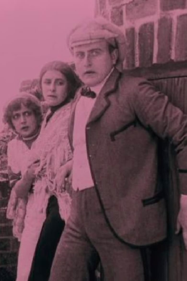 The Firefly i gruppen Alla filmer / Drama hos Mohamad shop (641631)